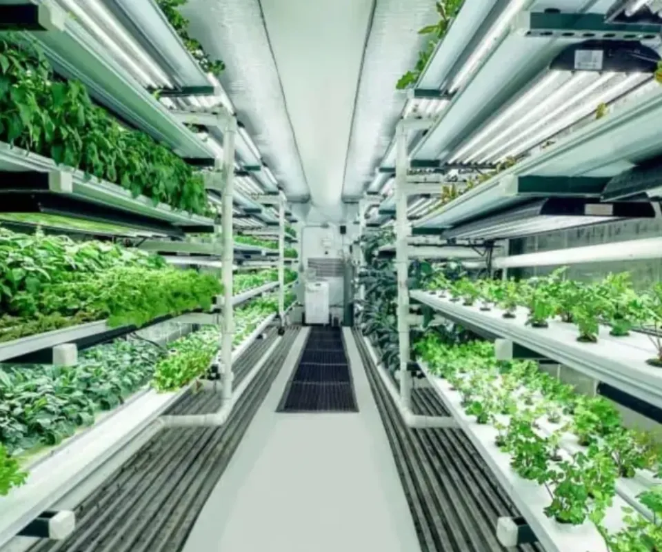 Urban Pastoral Shipping Container Farm